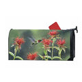 Hummingbird Flutter Mail Box Cover