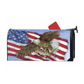 Soaring Eagle Mail Box Cover