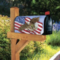 Soaring Eagle Mail Box Cover