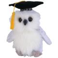 Class of 2004 Owl Beanie Baby