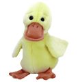 Quackers Duck Ty Beanie Buddy